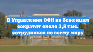 В Управлении ООН по беженцам сократят около 3,5 тыс. сотрудников по всему миру