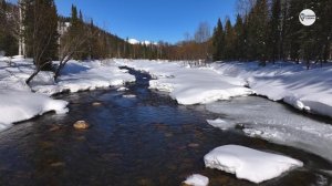 Наша Сибирь 4К: Весенние Поднебесные Зубья