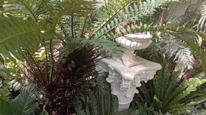 Оранжерея Ботанического сада Тверь