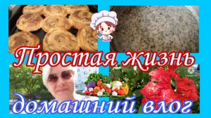 Влог Готовим окрошку и пеку "Улитки" из дрожжевого теста с картофельно-мясной начинкой/#Цветочныйрай