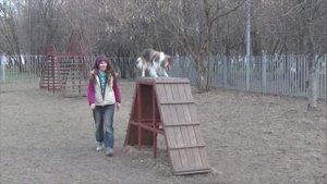 Лета 22апр2019 1пл