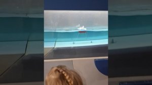Семейная прогулка🥰👨👩👧🌞ЧАСТЬ 3 (Москва, Планетариум) Таисия, мама и папа в эфире ❤️ ИЮНЬ25