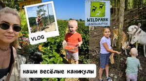 ВЛОГ: что делаем на каникулах / новые кроссы / распаковка / за ягодами 🍓 WILDPARK HUNDSHAUPTEN