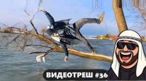 #36_Видеоприколы_fun_doza