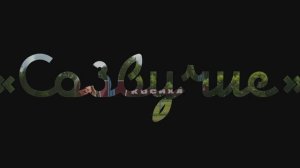 Поэты "Созвучия" о себе