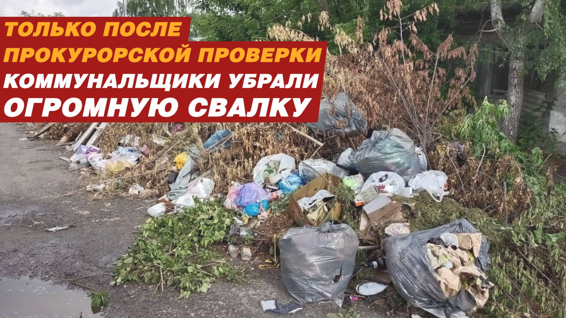 Только после прокурорской проверки коммунальщики убрали огромную свалку!