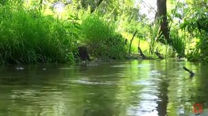 Ефрем Сирин О терпении и сокрушении слово поучительное часть 1