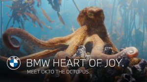 BMW - Meet Okto the octopus (2025)