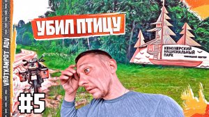 ПТИЦА В МОТОЦИКЛЕ! Неожиданный пассажир в мотопутешествии по Русскому Северу