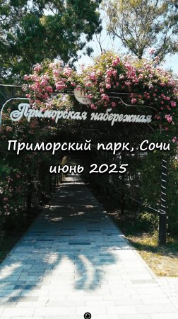 Приморский парк, Сочи. Июнь 2025