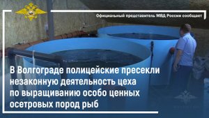 В Волгограде полицейские пресекли незаконную деятельность цеха по выращиванию рыб