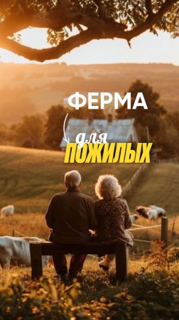 «Ферма вместо палаты»: как в Швейцарии пожилые живут на фермах