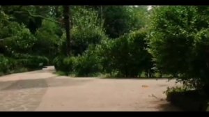 Побег от собаки: 1 уровень (ФИЛЬМ ЧЕБУРАШКА) 🐕🐵