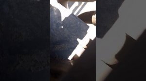5382.mp4