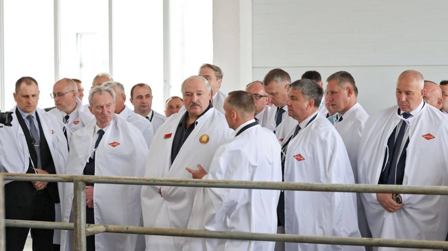 Александр Лукашенко предложил поставить памятник коровам