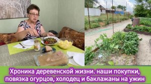 Хроника деревенской жизни: Наши покупки, баклажаны и холодец на ужин, сетка для огурцов