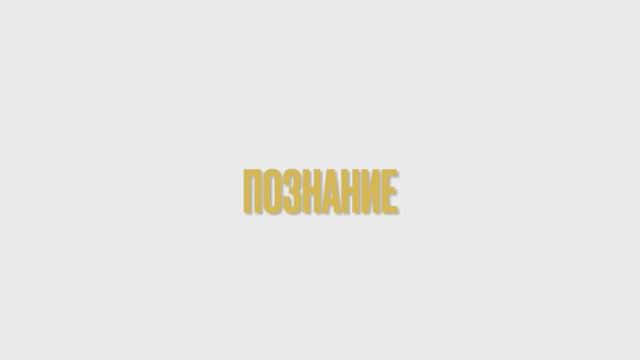 Блок занятий «Познание»