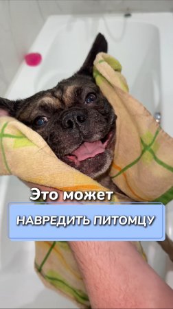 Это может навредить питомцу
Артикул на WB #234577895
Ozon #1664064287