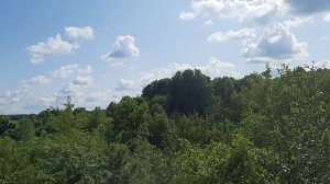 Очередная проверка ловушек на пчел.