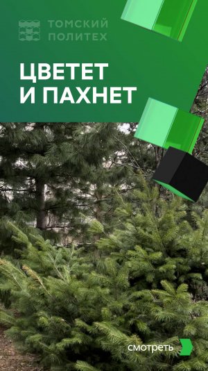 Как красиво в Томском политехе!
