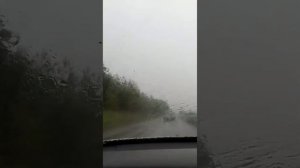 Летний дождь