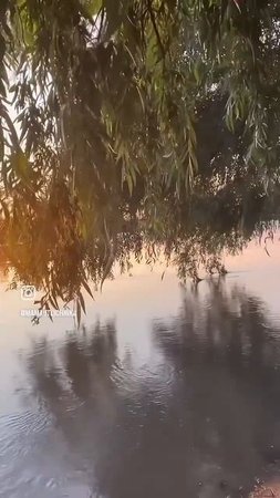 #мамаотличника