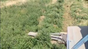 Косилка Агростар АР 195 в работе