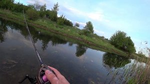 Рыбачу у себя на даче