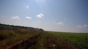 От села Новосклюиха на тягун (длинный пологий подъём). 😊