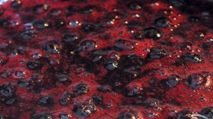 Чернично-лаймовый соус