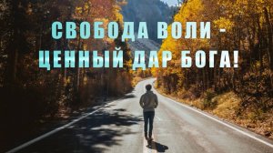 Свобода воли - ценный дар Бога!