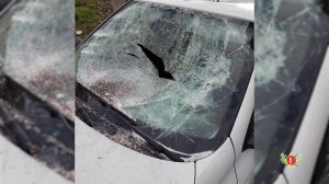 Атәым мазара аҧхасҭатәреи  ахымцабџьар амазаареи идрыҧхьаӡалоит Тҟәарчал инхо ауаҩы.