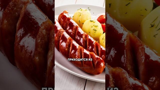 СПИШЬ И ХУДЕЕШЬ