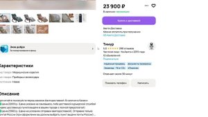 Avito: Analysis креслокачалки огромный выбор б/у и новых моделей