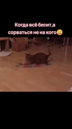 Мой хреновый рабочий день!