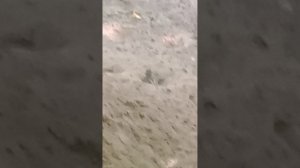 песочные ванны