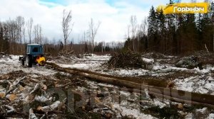 ГОРЫНЫЧ Захват Нож-Толкатель МТЗ 82. Работа в лесу, в реальных условиях. тел. 8(910) 860-47-74-(720p