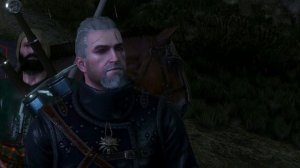 Да вот удивляюсь • Ведьмак 3: Дикая охота