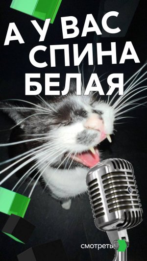 Куда спешим?