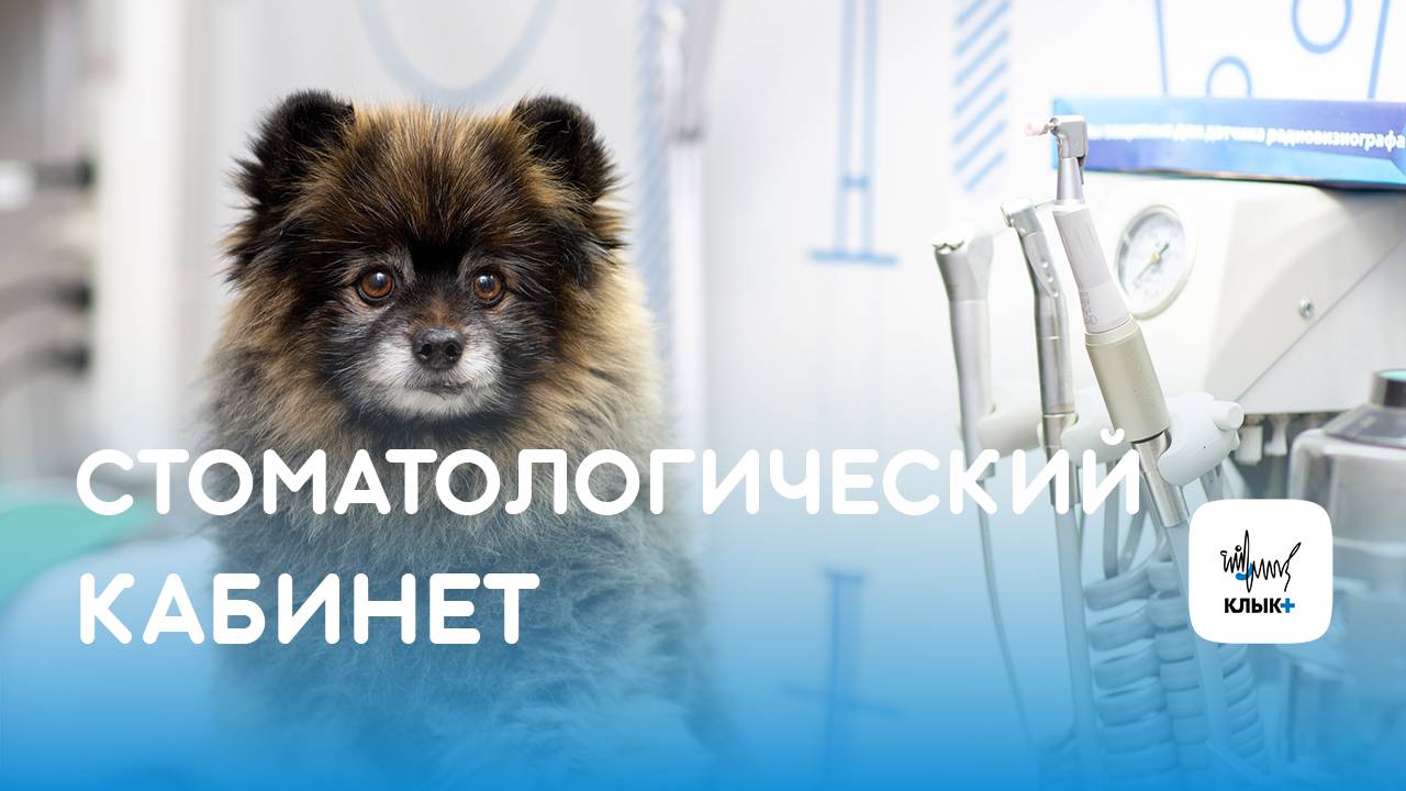 Стоматологический кабинет в нашей клинике