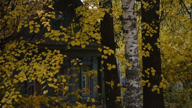 Осеннее настроение
