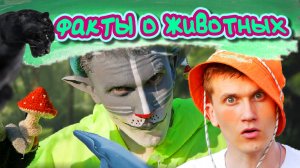 КОТ УЧЁНЫЙ| ДИКАЯ ПРИРОДА
