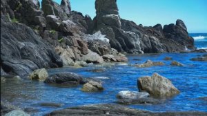 Остромысовка, поиск морских ежей, Сахалин, 14 июня