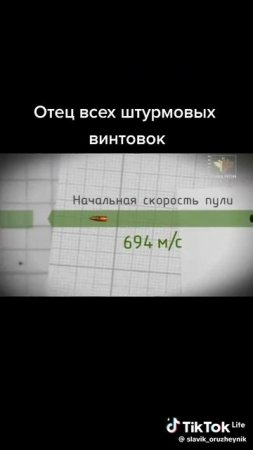 Штурмовая винтовка