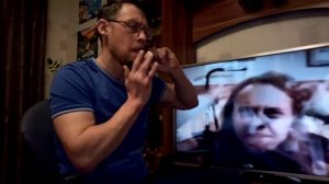 Metallica. Кавер на варгане.