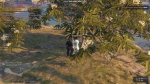 Серега делает вещи