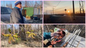 Норильск/ Тундра зеленеет/ Полярный день.