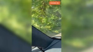 Водители оккупировали тротуары и газоны возле набережной