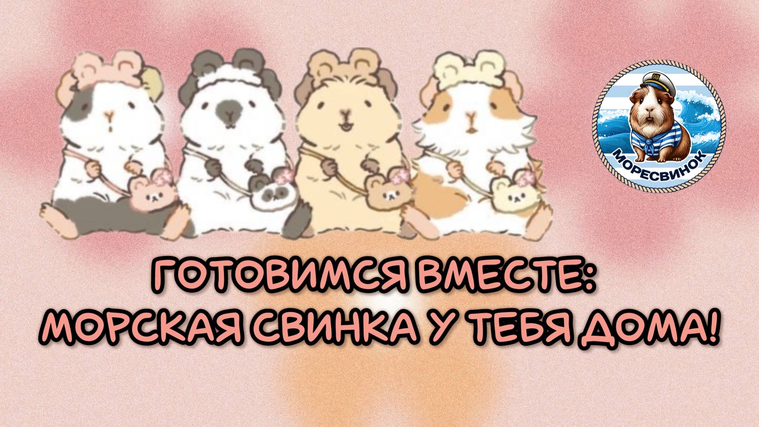 Что нужно купить морской свинке?