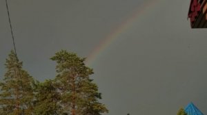 Радуга и сосна 🌈 🌲